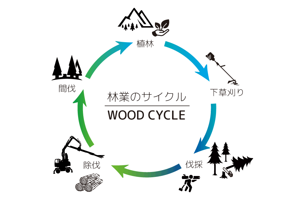 林業のサイクル