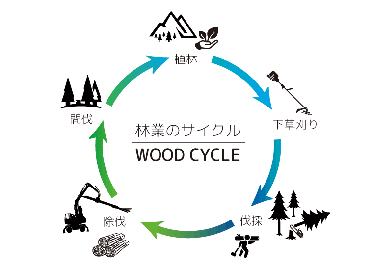 林業のサイクル