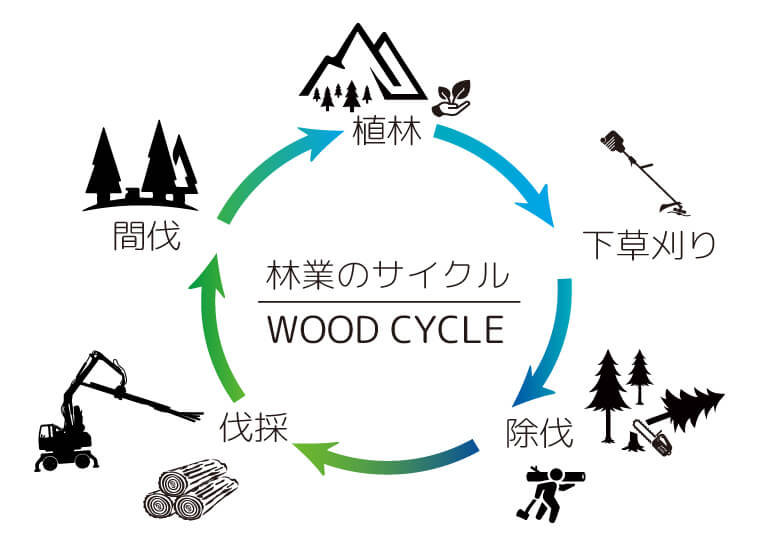 林業のサイクル